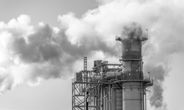 AU Diesel: Grenzwerte, Partikelfilter & OBD-Prüfung (2026)